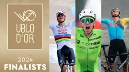 Vélo d'Or - Le Vélo d'Or 2024, les trophées, les vainqueurs... ce soir