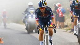 Route - Red Bull optimiste : «Les chiffres de Roglic... meilleurs que jamais»