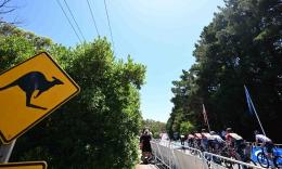 Tour Down Under - Où et comment suivre en direct le Tour Down Under 2025 ?